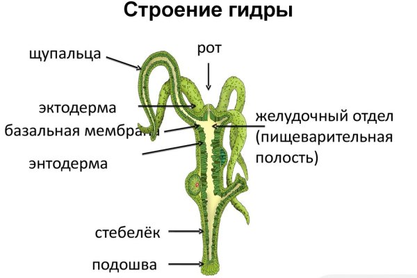 Кракен сайт как зайти