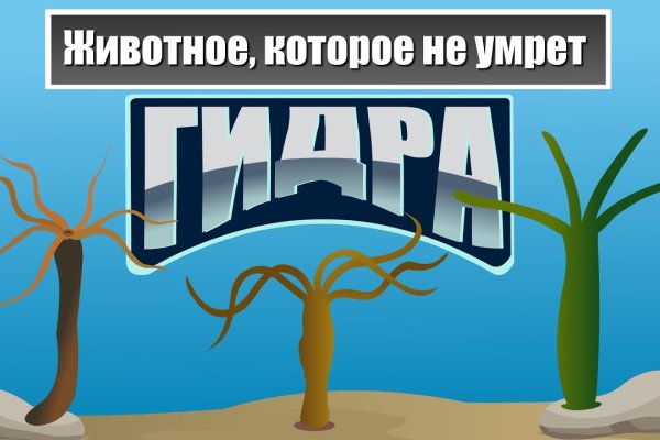 Ошибка на сервере кракен