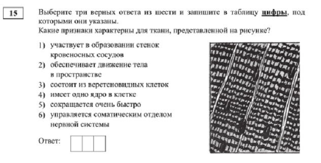 Кракен сайт в тор браузере ссылка